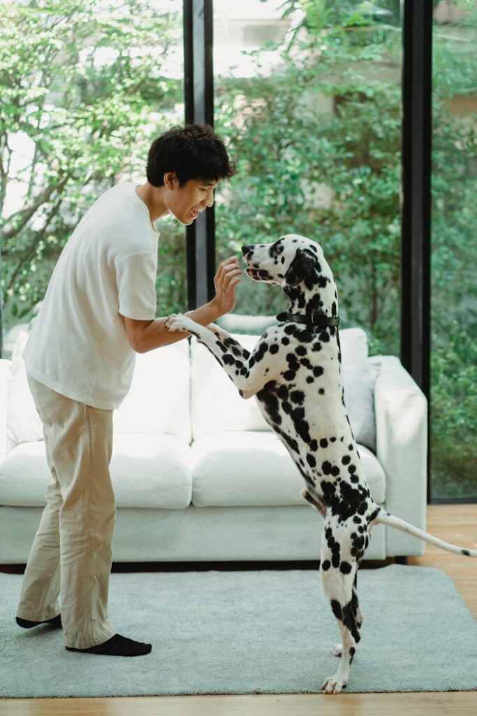 A man holds a Dalmatian dog standing on hind legs indoors.